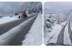 GridArt_20240113_135915678