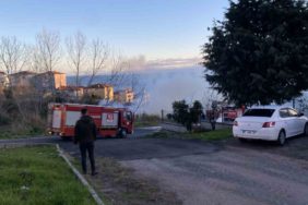 GridArt_20240123_200809706