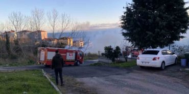 GridArt_20240123_200809706