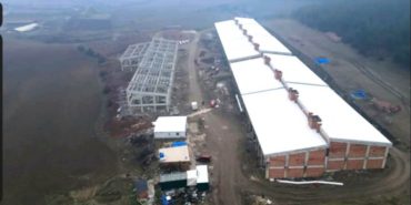 bab3f56a-5b32-4475-b38f-d18eee517dbe_1