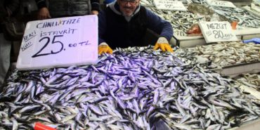 karadenizde-hamsinin-yerini-istavrit-aldi