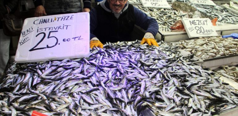 Karadeniz’de hamsinin yerini istavrit aldı