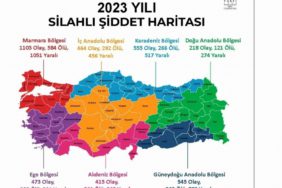 2023-yili-turkiye-siddet-haritasi