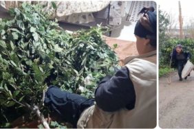 GridArt_20240221_184844029