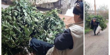 GridArt_20240221_184844029