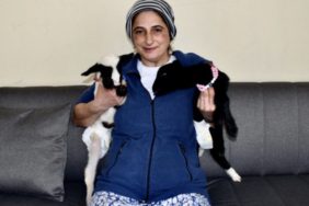 GridArt_20240227_200031202