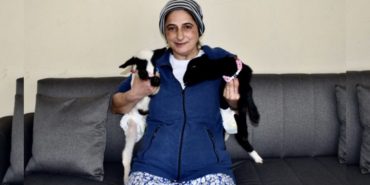 GridArt_20240227_200031202