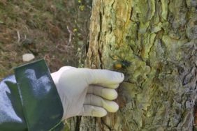 433139620-838447661631362-2437707082091288564-n