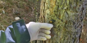 433139620-838447661631362-2437707082091288564-n