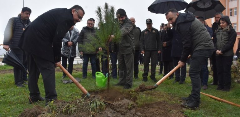 Dünya Ormancılık gününde Boyabat’ta 685 fidan toprakla buluşturuldu