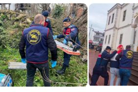 GridArt_20240315_195639541