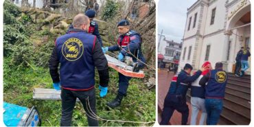 GridArt_20240315_195639541