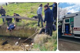 GridArt_20240318_025356261