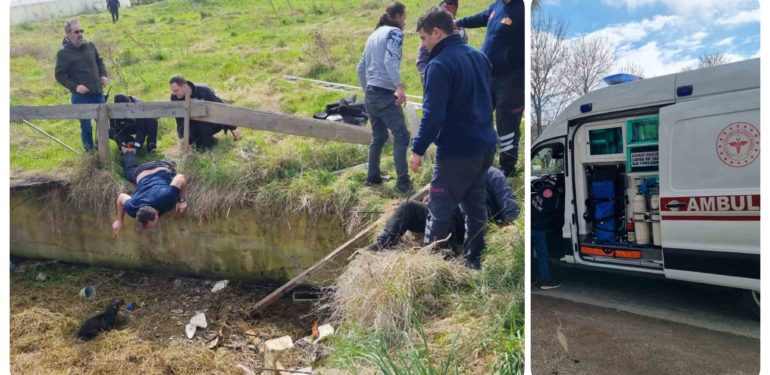 Sulama kanalına düşen köpeği kurtarmaya giderken boğulma tehlikesi geçirdi