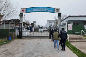 GridArt_20240319_121804476