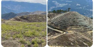 GridArt_20240320_230014920