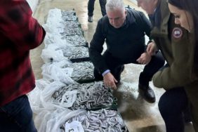 a66d27f78-4703-46d8-93cc-b2818782166e