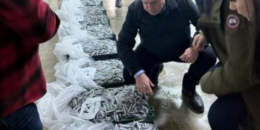 a66d27f78-4703-46d8-93cc-b2818782166e