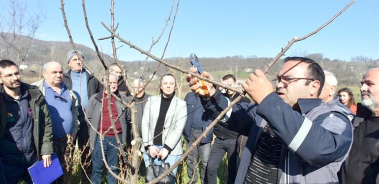 Tarımdan uygulamalı budama eğitimi verildi