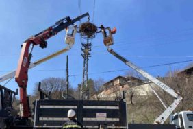 leyleklere-guvenli-yuva