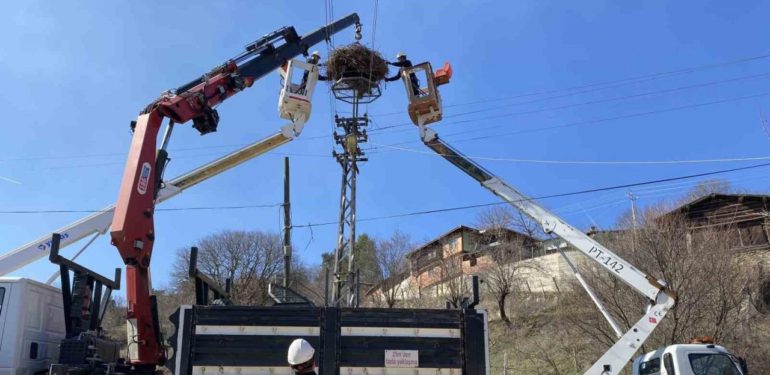 Cuma Ovasında Leyleklere Güvenli Yuva