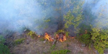 GridArt_20240403_144519212