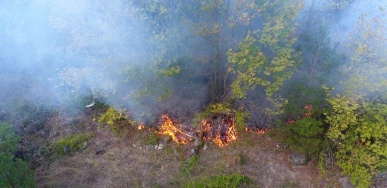 Boyabat’ta çıkan yangında 5 dönüm arazi zarar gördü