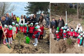 GridArt_20240404_161811338