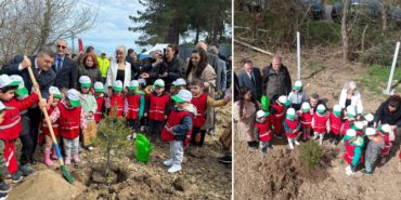 GridArt_20240404_161811338