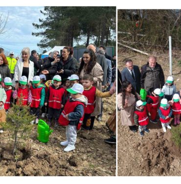 GridArt_20240404_161811338