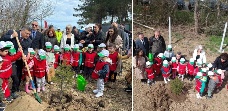 Sinop’ta 300 fidan toprakla buluştu